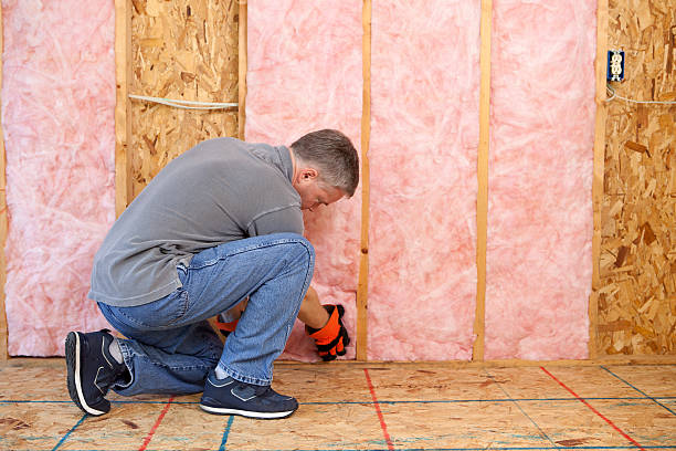 Best Insulation for Specific Applications in Capron, IL